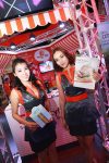 cat-cyfence-in-money-expo-2015-02