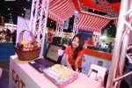 cat-cyfence-in-money-expo-2015-04