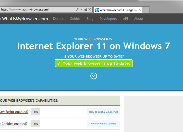 whatismybrowser