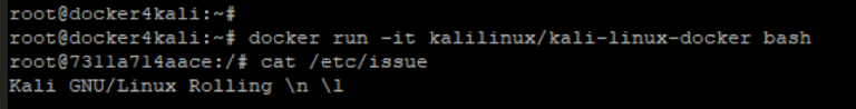 kali on docker kali on docker